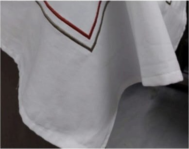 Embroidered Napkin